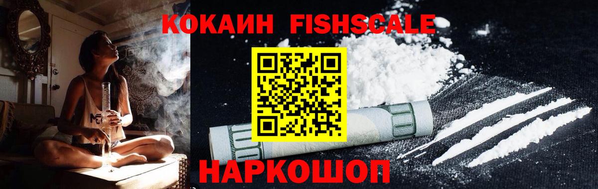 Cocaine Fish Scale Зима