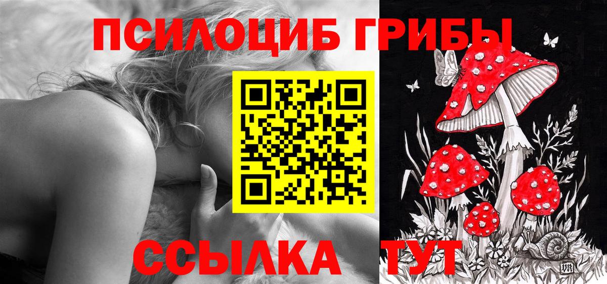 Псилоцибиновые грибы GOLDEN TEACHER Зима