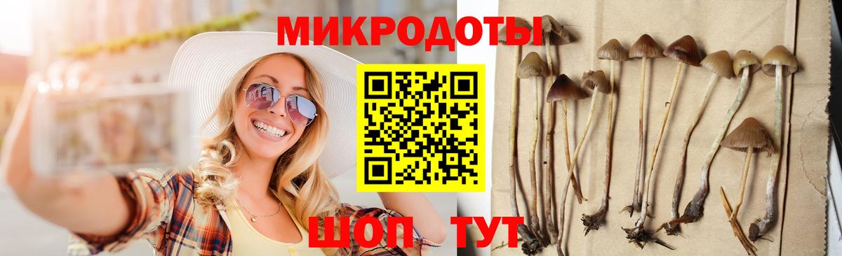 Зима  Галлюциногенные грибы Psilocybine cubensis  Псилоцибиновые грибы ЛСД  Вход с VPN 